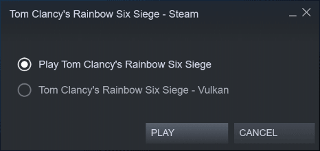 Rainbow Six Siege - Steam Launch Options