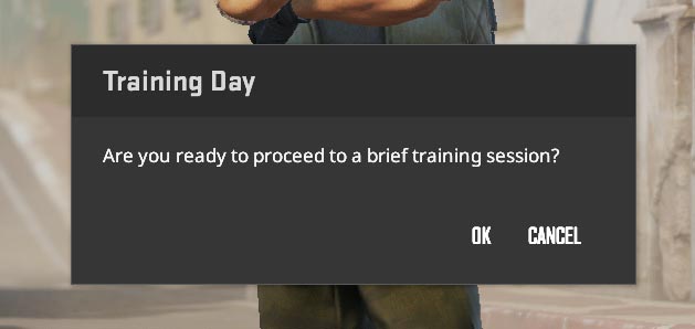 Counter-Strike 2 Training Day Message